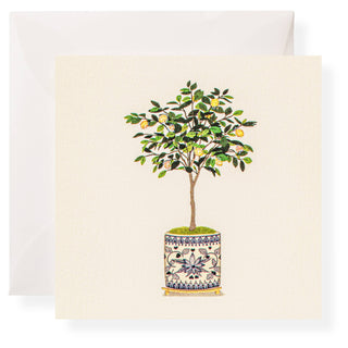 Lemon tree print gift enclosure with envelope. Pack of 6 by Karen Adam Designs.